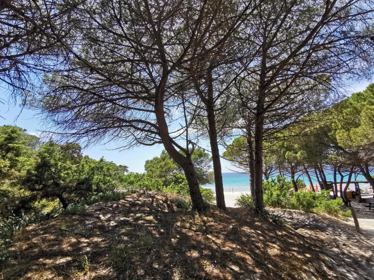 Alghermanzoni Alghero Exteriör bild